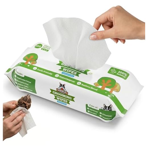 Pogi's Pflegetücher - 100 desodorierende Abwischtücher für Hunde – extragroß, biologisch abbaubar, unparfümiert, natürlich