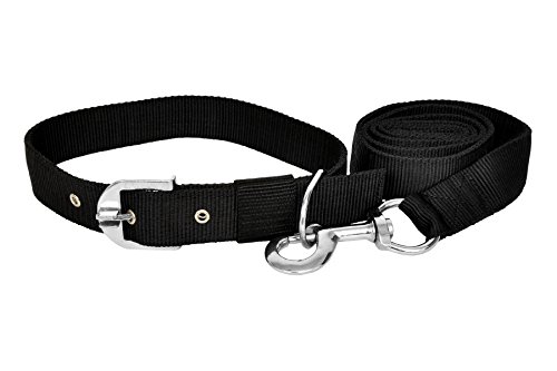 Image of No Pull -Step in Soft Padded Buckle Dog Harness and Collar Leash - Escape Proof Adjustable Combo for Walking Training Hiking Outdoor (Black, Large)