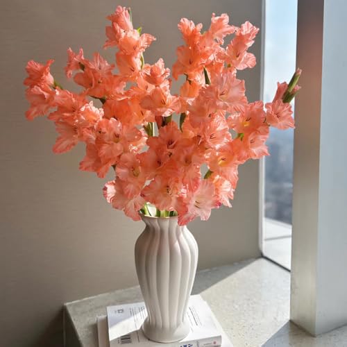 Bombilla de gladiolos,perennes resistentes,Bombilla de perennes resistentes para balcón,en macetas,regalos originales Decoración de balcones,de sombra.7pcs