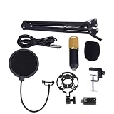 Ejoyous BM-800 Microfono a Condensatore Kit da Studio Professionale con Supporto Braccio Regolabile Filtro Anti-POP e Adattatore USB