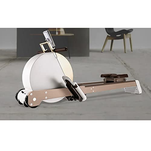 Image of Rowing Machines for Home Intelligent Magnetic Resistance Rowing Machine Home Mute Control Indoor Aerobic Dual-Track Row Machines