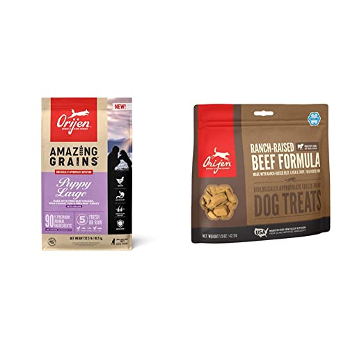 Your Ultimate Guide to Choosing the Best Orijen Puppy Dog Food Top 10