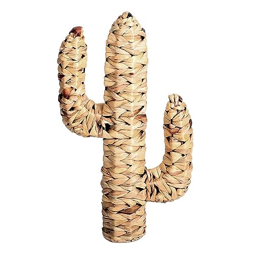 marque Fornord Cactus en Jacinthe d'eau H45