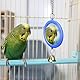 Vogelspiegel mit Glocke, Hanging Swing Wellensittich Interaktives Spielzeug für Sittich Nymphensittiche Kanarienvögel Wellensittich Käfig Zubehör (Blau)