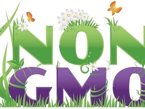 Miniatura 9 de Purple Wisteria Seeds - Vid en flor muy apreciada, Wisteria sinensis - Semillas frescas (10 semillas)