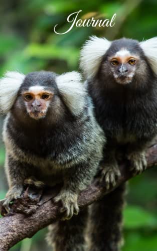 Marmosets: Journal
