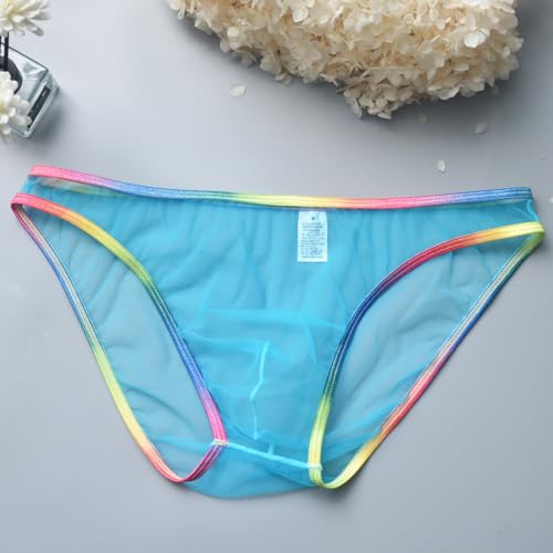 Evankin Sexy Men's Brief Underwear Mesh See Through Underpants Low Rise U-shaped Pouch Fun Underwear Colorful4