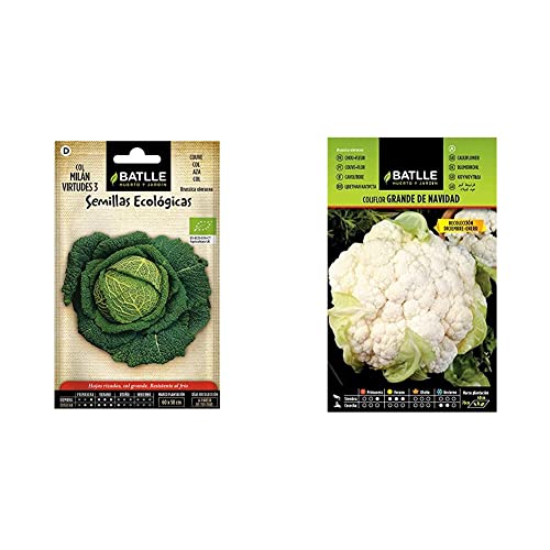 Semillas Batlle Col Virtudes ECO + Coliflor grande NAVIDAD (dic-en)