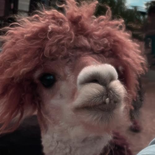 Ladies and Gentleman