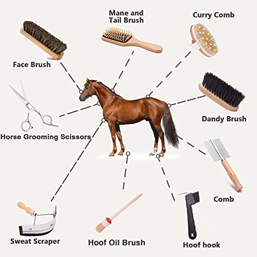 Horse Grooming Kit （10-Piece） With Tote，Horse Cleaning Tool Set With Assorted Hair And Curry Comb, Hoof Pick Sweat Scraper，Grooming Scissors，Portable Black Storage Bag，Riding Equipment For Beginners #TOP1
