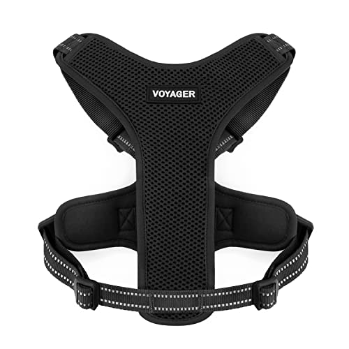Air Frontier Mesh Dog Harness with Steel Leash D-Ring, Reflective Stitching, and Lightweight Breathable No-Pull Design, Adjustable Neck and Chest Straps, XS