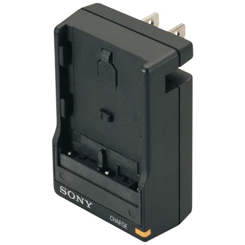 Sony BCT-RM InfoLithium M Series Portable Charger
