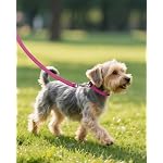 Joytale Dog Collars for Small Dogs, Feather-Light Double-Sided Reflective Nylon Collar for Night Safety, Adjustable Quick-Release for Growing Puppies, Hotpink, S (5/8" Width) - Image 6