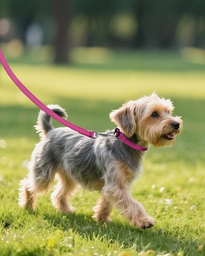 Joytale Dog Collars for Small Dogs, Feather-Light Double-Sided Reflective Nylon Collar for Night Safety, Adjustable Quick-Release for Growing Puppies, Hotpink, S (5/8" Width) - Image 7
