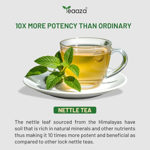 Image of Teaaza Organic Nettle Leaf Tea| Nettle Tea Leaves sourced from Himalayas| For Kidney Detox, Raising Hemoglobin & Joint Health, 10 Grams
