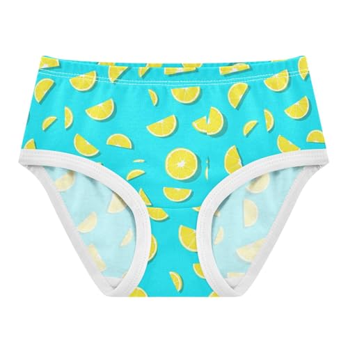 Joisal Yellow Lemon Slices Turquoise Blue Toddler Underwear Floral 2t Cotton Panties Little Girl Durable Briefs Kids Undies