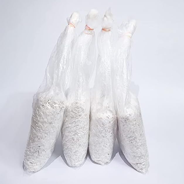 MYDIL Oyster Mushrooms Spawn, Grain Seeds, First Generation High Yield White Mycelium Spores, Edible CO2 Variety (200 Grams) (B0DD7QZX7Q) Amazon Price History, Amazon Price Tracker