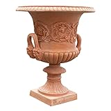 Photo Gallery biscottini vaso per piante da esterno 60x72x60cm made in italy - vasi terracotta grandi da esterno - vasi per piante da esterno - vaso grande da esterno Photo Gallery biscottini vaso per piante da esterno 60x72x60cm made in italy - vasi terracotta grandi da esterno - vasi per piante da esterno - vaso grande da esterno