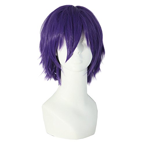 wonderful lifetime New Men Cosplay Wigs Layered Anime Show Party Costume Heat Resistant Halloween Wig (purple)