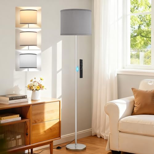 PreeOtti Modern Grey Floor Lamp,Remote Control Dimmable LED Floor Light for Bedroom Kid Office, Silver Pole(9W Bulb Included)