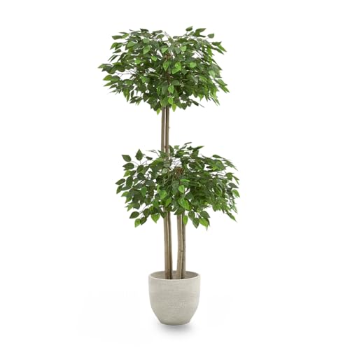 Maia Shop Plantas Artificiales Decorativas - Ficus Artificial con Tronco Natural, Planta Artificial Grande, Decoración Hogar, Arbol Artificial (1, 2 Copas)