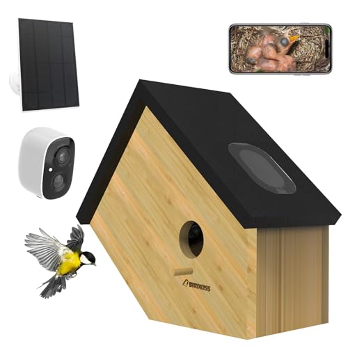 Birdkiss Casa inteligente para colibríes con cámara alimentada por energía solar, 3 MP HD Live View Birdhouse para exteriores, ver anidación y incubación de pájaros, regalo ideal al aire libre para
