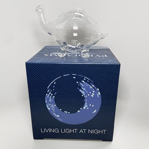 Bioluminescent Bio-Turtle Gift Option, Glass Turtle Micro-Aquarium, Redeemable PyroDino Card for Live PyroDinos and DinoNutrients