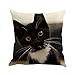 Poszewki na poduszki – 1 szt. uroczy kot kotek nadruk poszewka na poduszkę, wzór kociaka kwadratowa dekoracyjna poszewka na poduszkę, poszewka na poduszkę na sofę kanapę samochodu, bez wkładki – 45 cm x 45 cm (1 szt., wys.)