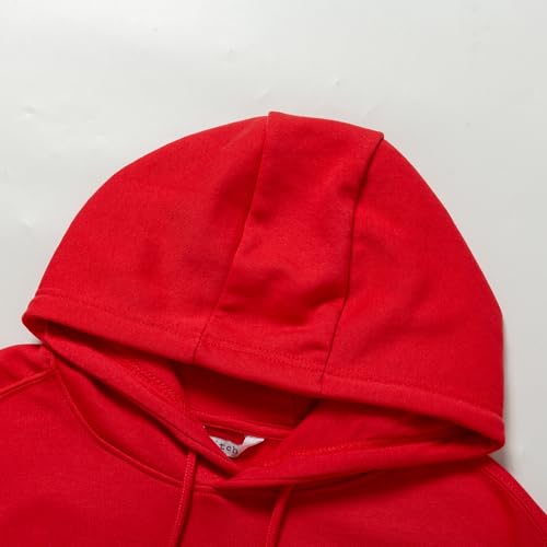 Girls' 2-Piece Athletic Outfit Long Sleeve Sweatshirt Shorts Set Sports Wear Casual Clothes for Kids Ages2