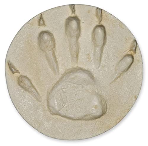 Raccoon Negative Footprint (7.75x7.75cm)