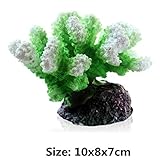 Nuevo Disign Coral Style, transformando tu acuario en un hermoso paisaje.