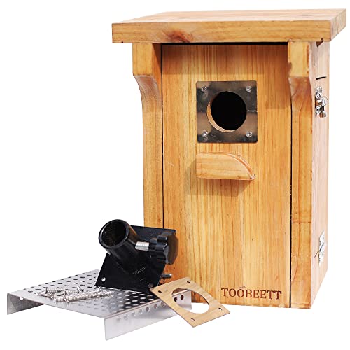 TOOBEETT Bluebird Window Birdhouse