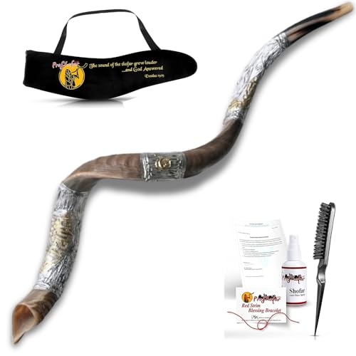 Kosher Kudu Shofar from Israel, 925 Sterling Silver With Gold Plating, Officially Signed Certificated Yemenite Kudu Shofar, Made in Israel (24