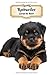 2020 Rottweiler Carnet de Bord: Chiot ou Chien | 139 Pages | 12 Mois | Format A4 | Agenda | Journalier | Planificateur | Semainier Simple | Calendrier | Organizer
