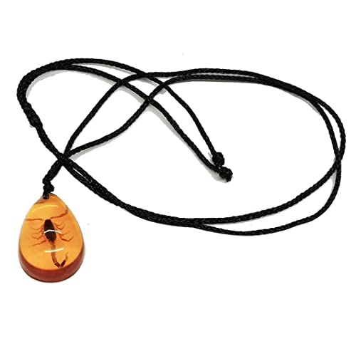 Apofly Bernstein Look Scorpion Anhänger Klassische Halskette - Dekorative Accessoires