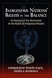 Indigenous Nations' Rights in the Balance: An Analysis of the Declaration on the Rights of Indigenous Peoples
