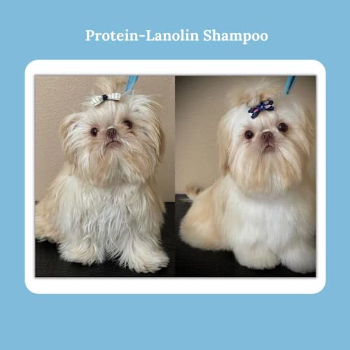 Image of Bio-Groom Protein Lanolin Moisturizing Dog Shampoo - Sulfate-Free, Soap-Free Grooming Shampoo with Coconut Oil & Aloe Vera, Adds Shine & Softness to Fluffy Coats, Gentle Care for Dogs, 355ml