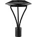 RAB ALED5T78 - 78 Watt - LED - Post Top Light Fixture - 5100K Stark White - 120/208/240/277 Volt - Bronze Finish