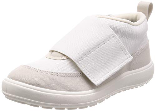 [[X^[ CtX^C] Xj[J[ Y CWFNV@ ʃt@Xi[ BANDHEM i` 22 cm 2E