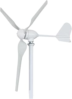 Windkraftanlage 10KW Off Grid System for Home 12V 24V 48V Horizontale Windenergie Turbine Elektrische neratoren Windmühle mit Controller Inverter(24V)