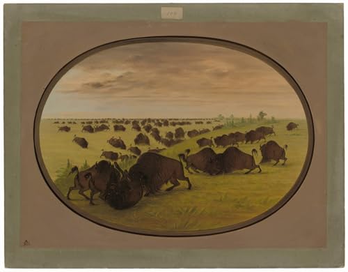 Póster artístico Lotta tra animali de George Catlin, lienzo premium 60x90cm