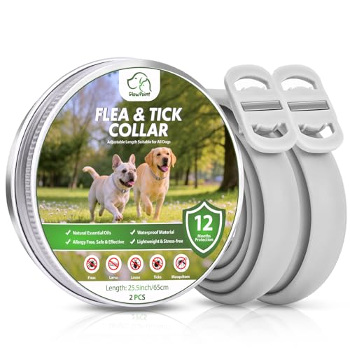 Collar Antiparasitario Perros, 2 Piezas Collar Ajustable y Resistente al Agua para 12 Meses, Repelente Duradero para la Prevención de Parásitos en Razas Pequeñas, Medianas y Grandes (65 cm)
