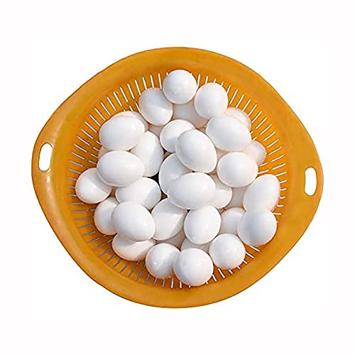 ANCLLO Lot de 20 œufs factices en plastique solide de 10 g pour pigeons de course