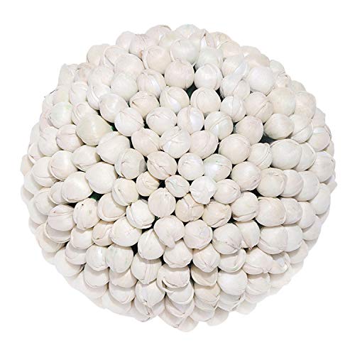 Image of Aheli Indian Traditional Ethnic Wedding Wear Hair Brooch Pin Fashion Accessories Jewelry Gift for Women White | 1 Juda Pin
