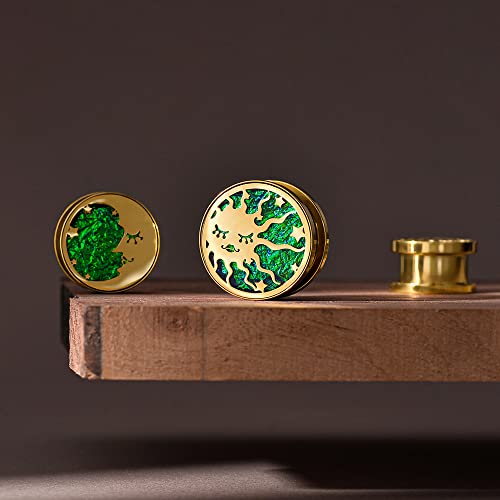 Erkuoo 2Pcs Sun Moon Ear Gauges Screw Ear Tunnels Plugs Flesh Stretchers Piercing Earrings Hangers Expander 0G(8Mm) #TOP3