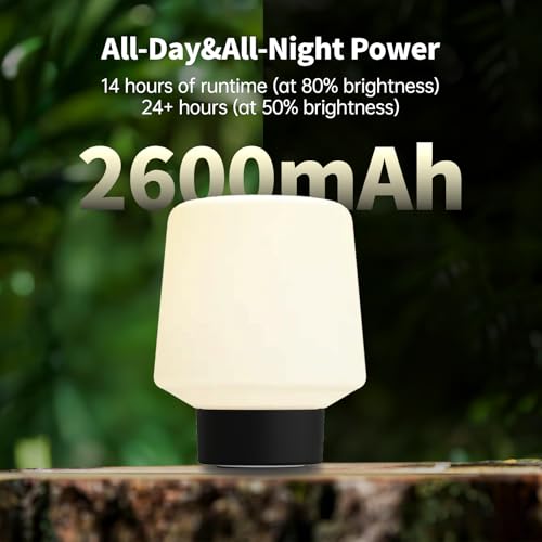 Image of Black Mushroom Lamp,Cute Cordless Rechargeable Table Lamp | 3 Color Tamps,LED Dimmable Ambient Lighting,Small Retro Touch Bedside Light for Bedroom Decor