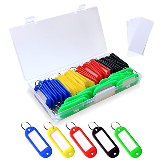 Redamancy Targhetta Portachiavi, 50 Pezzi Portachiavi Etichette, Plastica Targhetta, Portachiavi con anelli divisi per chiavi, animali domestici, bagagli e etichette Memory Stick(5 Colori)