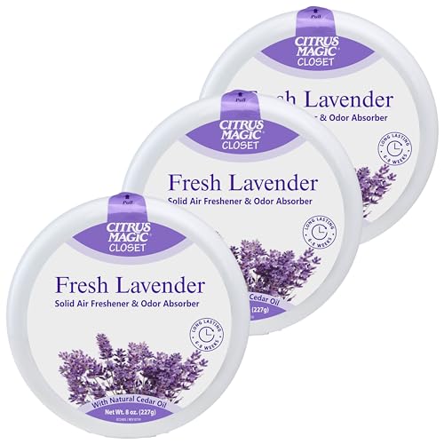 Citrus Magic Fresh Lavender Solid
