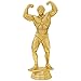 Male Bodybuilding Trophies, Bodybuilder Trophy, Weight Lifting Competition Awards 5 Pack