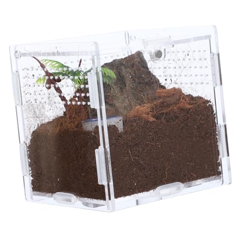 UKCOCO 1 Juego Caja de cría de araña saltadora Recinto Transparente para Reptiles terrario de araña Caso de alimentación Jaula de hábitat de Insectos contenedor de Insectos Acrílico
